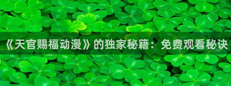 全职法师风车动漫：《天官赐福动漫》的独家秘籍：免费观看秘诀