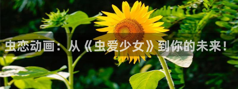 进击的巨人第3季风车动漫：虫恋动画：从《虫爱少女》到你的未来！